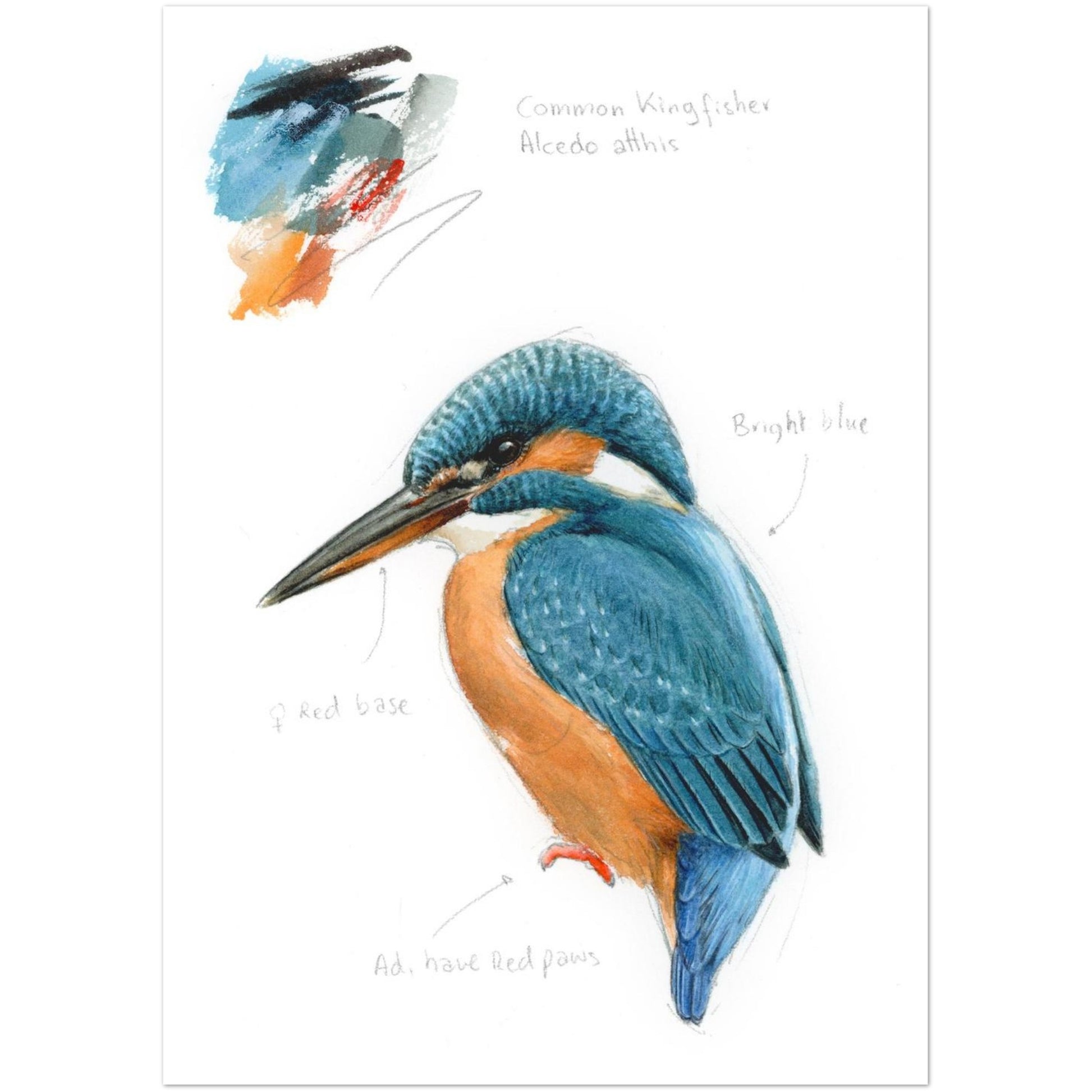 05ffad83-1e7d-418f-877d-e62f7a8c7366