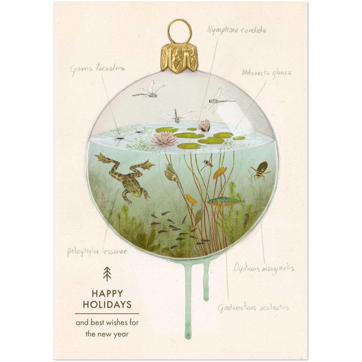 0a063182-cf5f-4173-aab8-f568ed9434da