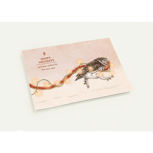 14a8e67f-2ac5-4ecc-b7cc-b2e1d97c5667