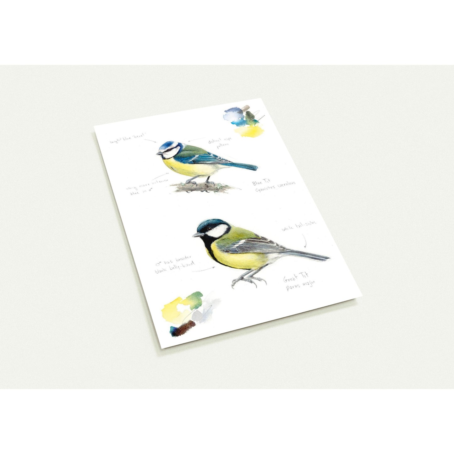 1cb49ff7-612e-44b5-a666-a40f36222306