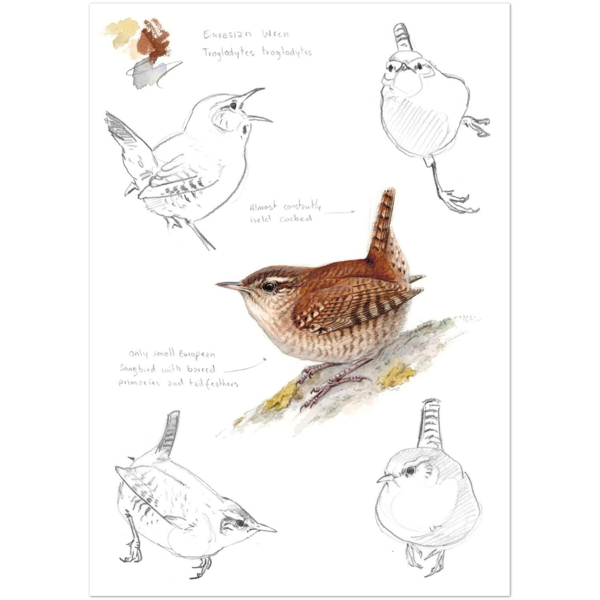 4dc6f9e0-d363-473f-a424-473a754df2cc