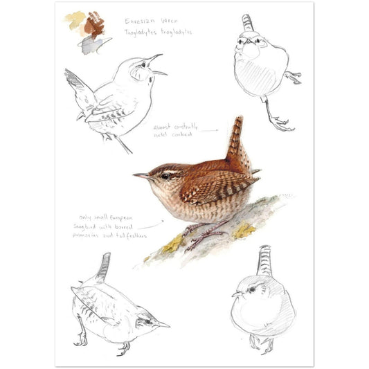 4dc6f9e0-d363-473f-a424-473a754df2cc