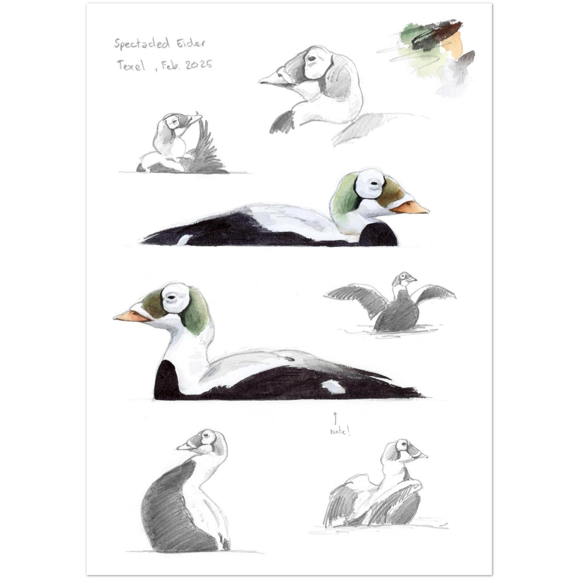 541a7eff-9c24-4982-b8af-42793eb5dd0a