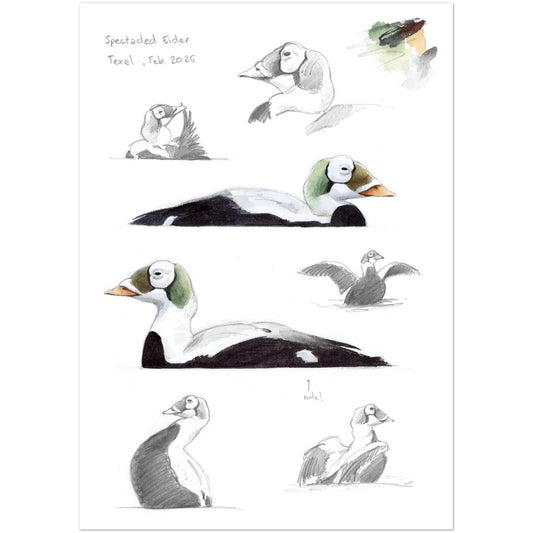 541a7eff-9c24-4982-b8af-42793eb5dd0a