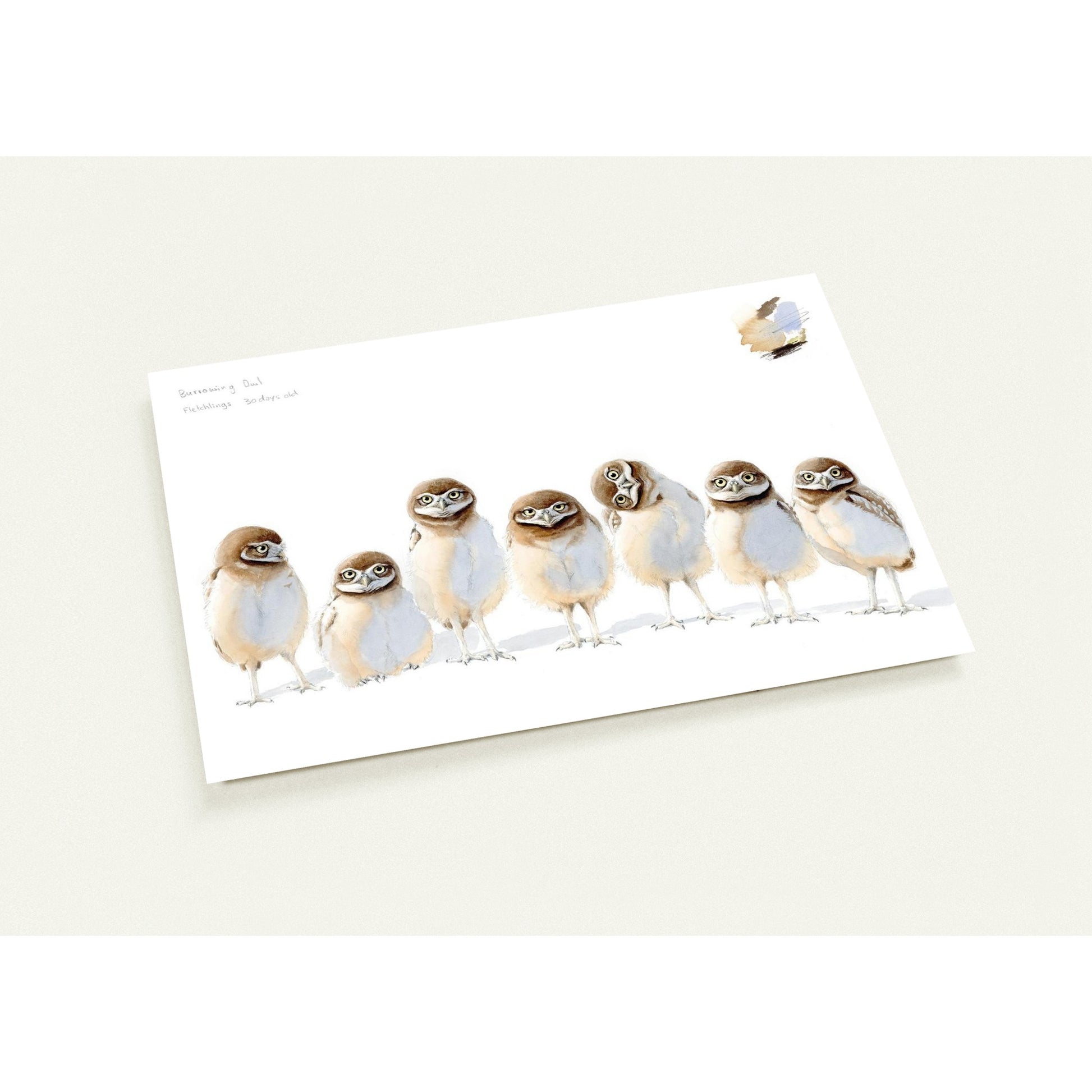 57e39116-bc6d-49f8-a48e-dfa21d89995e