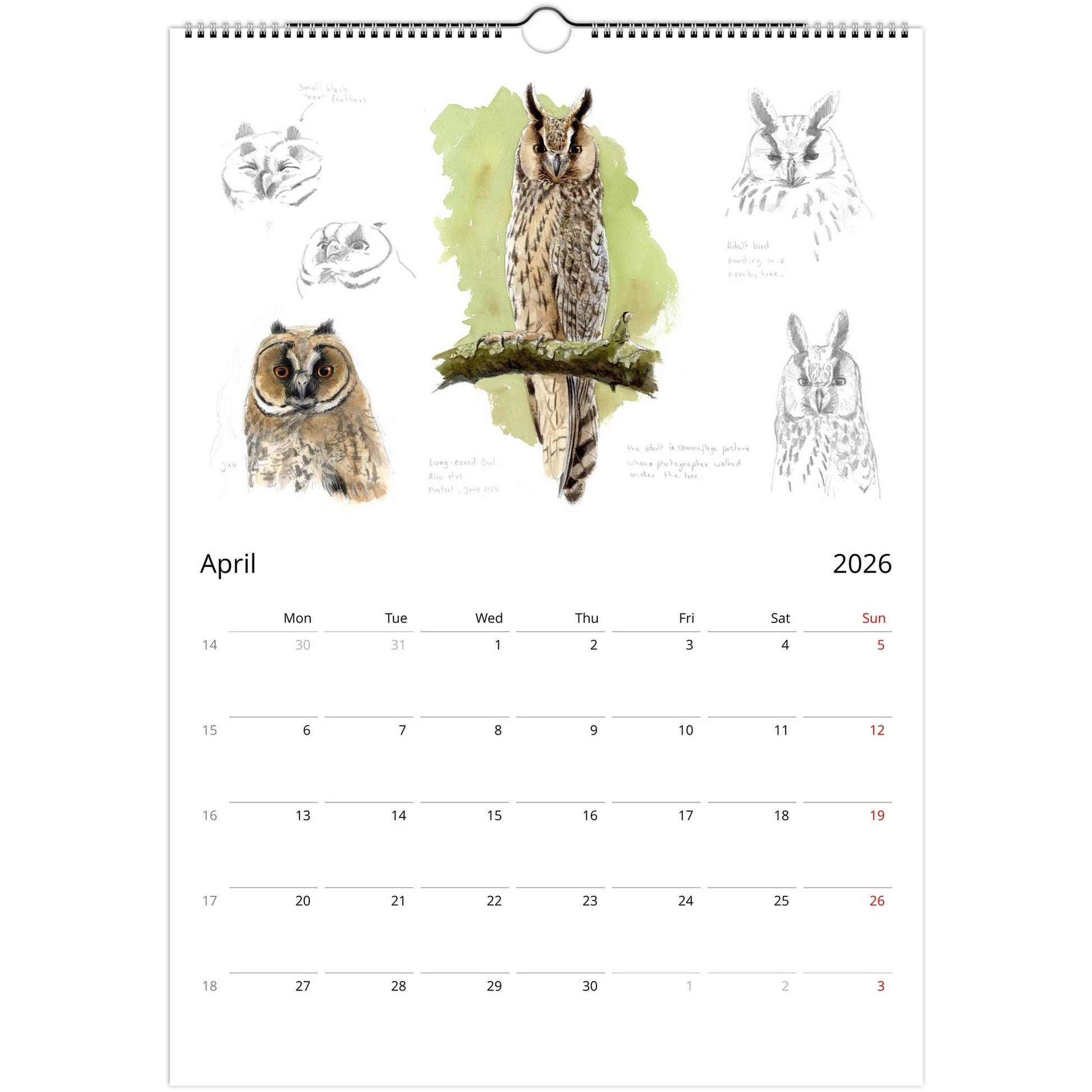 5f427ea6-68d0-4903-9af9-01b44f62e9a6