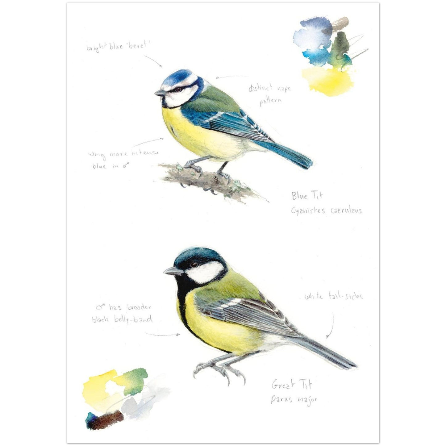 631b427b-f134-4354-ad34-0d776d3cddf3