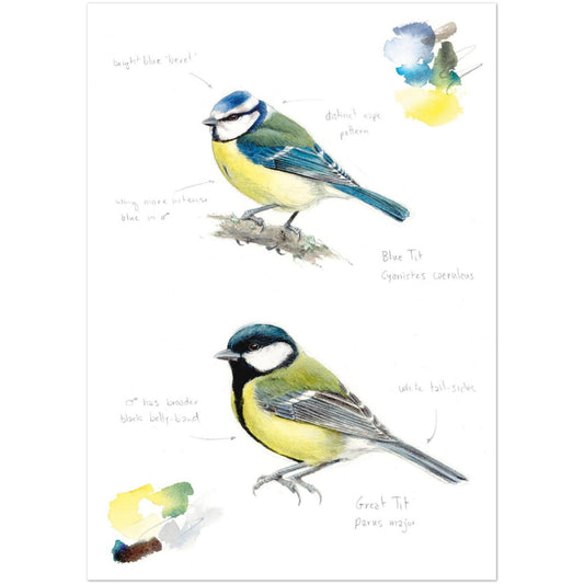 631b427b-f134-4354-ad34-0d776d3cddf3