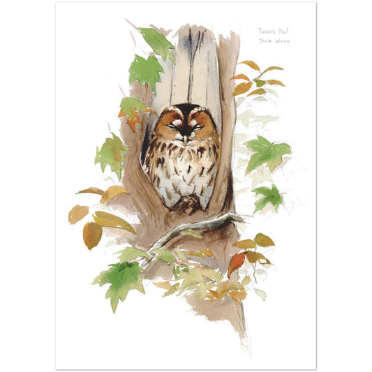 7532d5a6-1af6-4cf8-8a79-c57591b08341