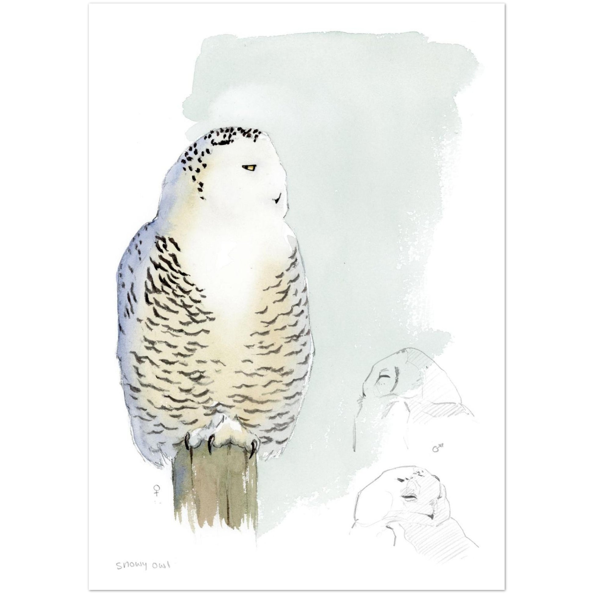 79244dde-619a-4368-9bf4-ce7f3c12079d