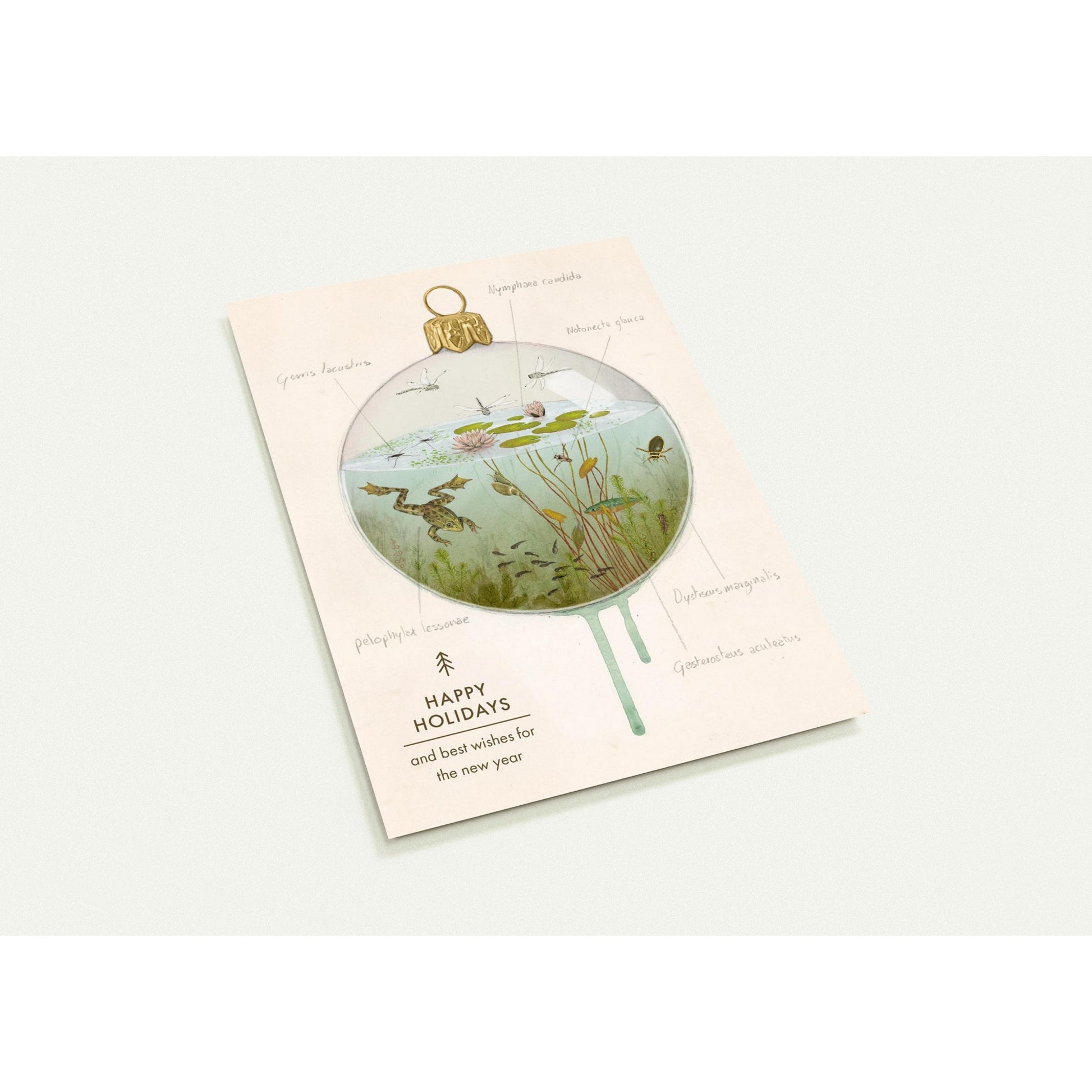 8a525d32-42ed-464f-ac58-06bdfc5f4b14