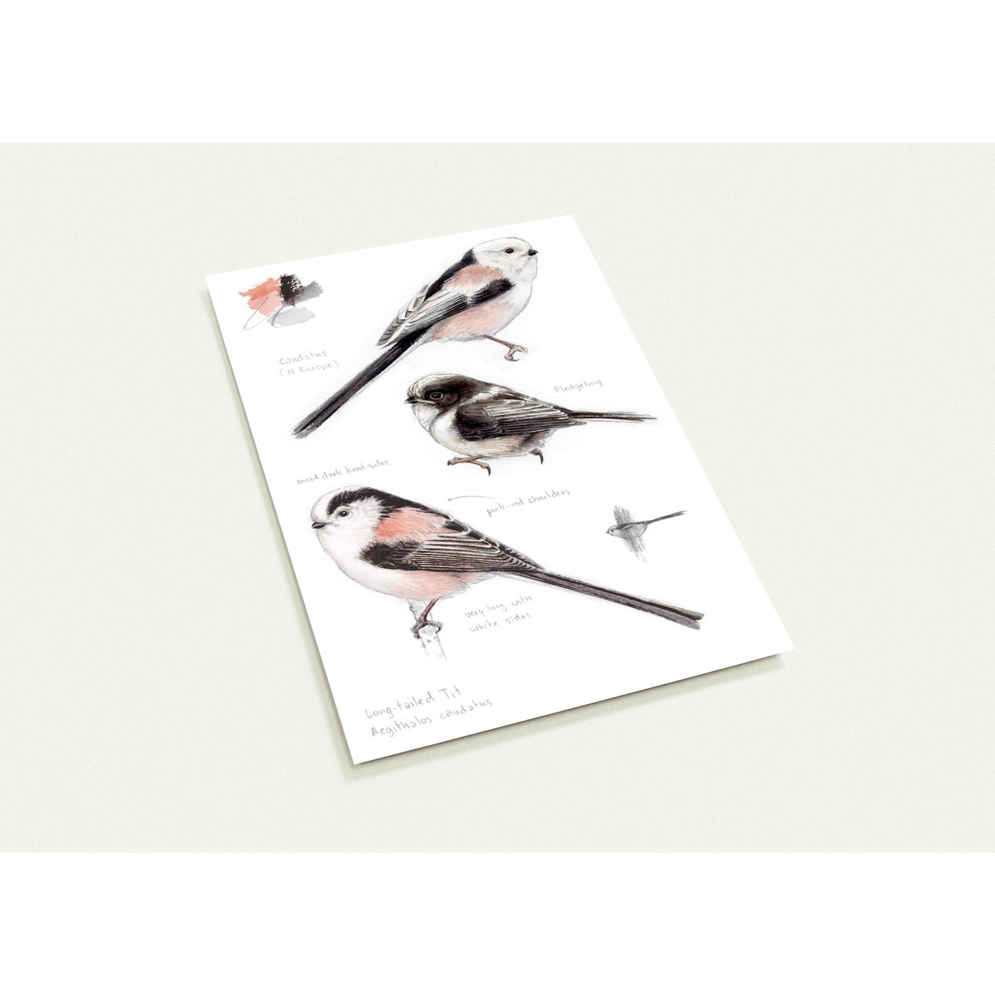 93d53a20-2163-4c21-be76-fc20fee3f95c