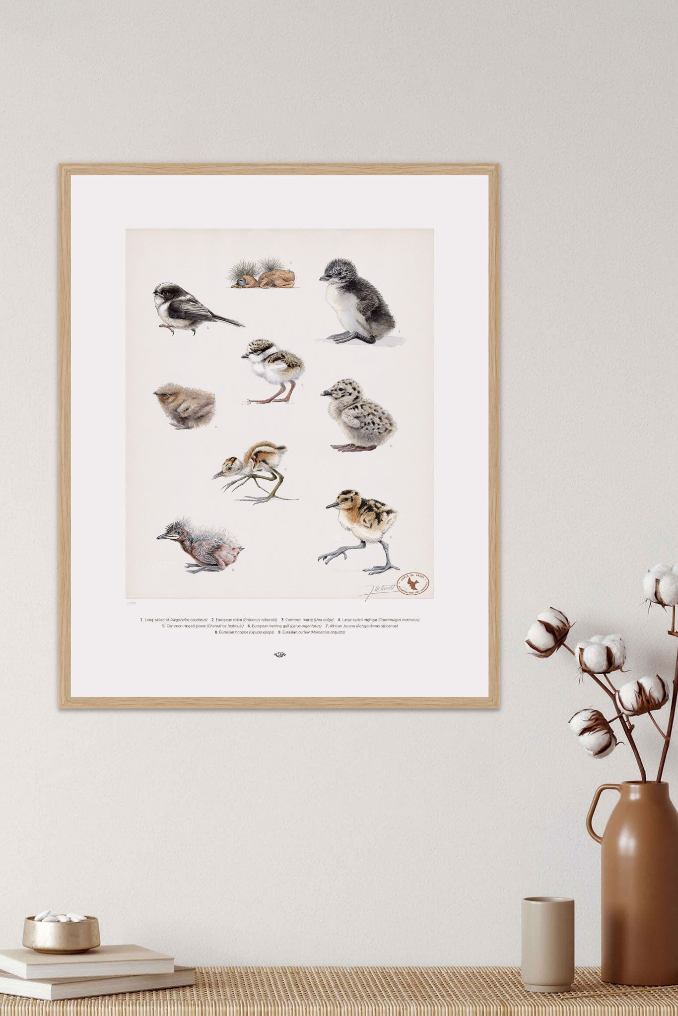 Gallery of Chicks