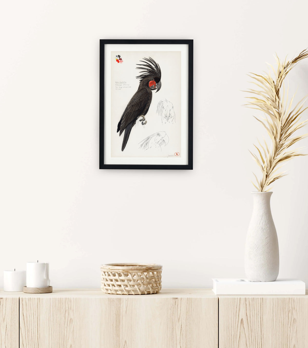 Palm Cockatoo