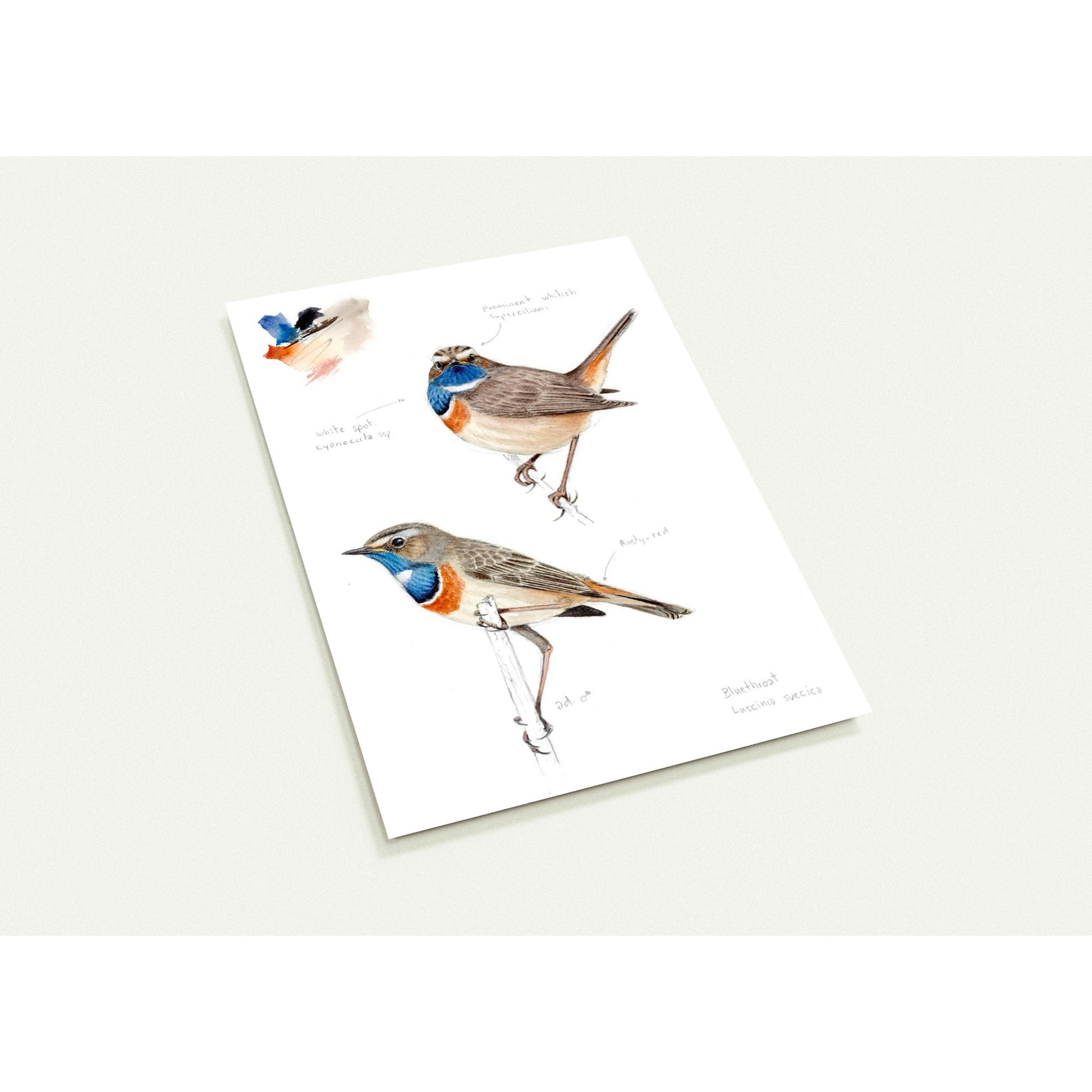 a8310c8a-2dd8-46a2-abbf-1ac8d00e33b4