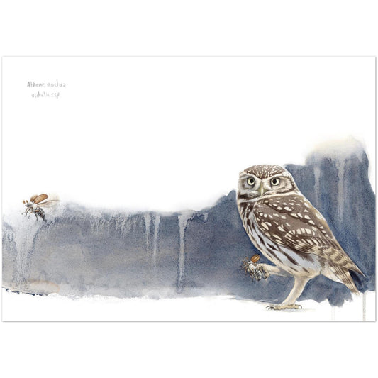 b83faf2b-9ef0-4620-be9b-8af215c85525