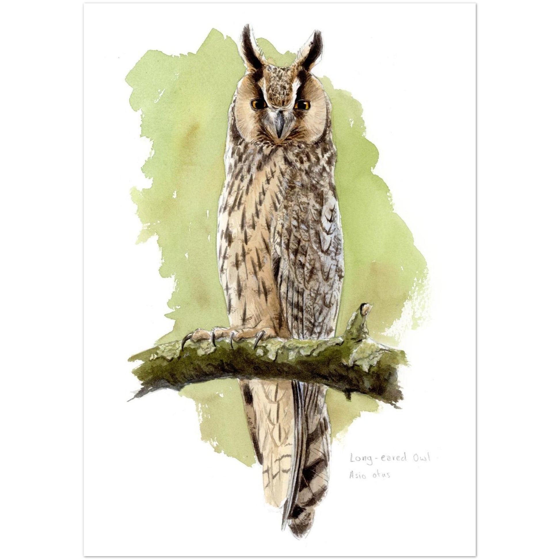 cccab9a8-ccb9-4da7-8136-b707d47a3878