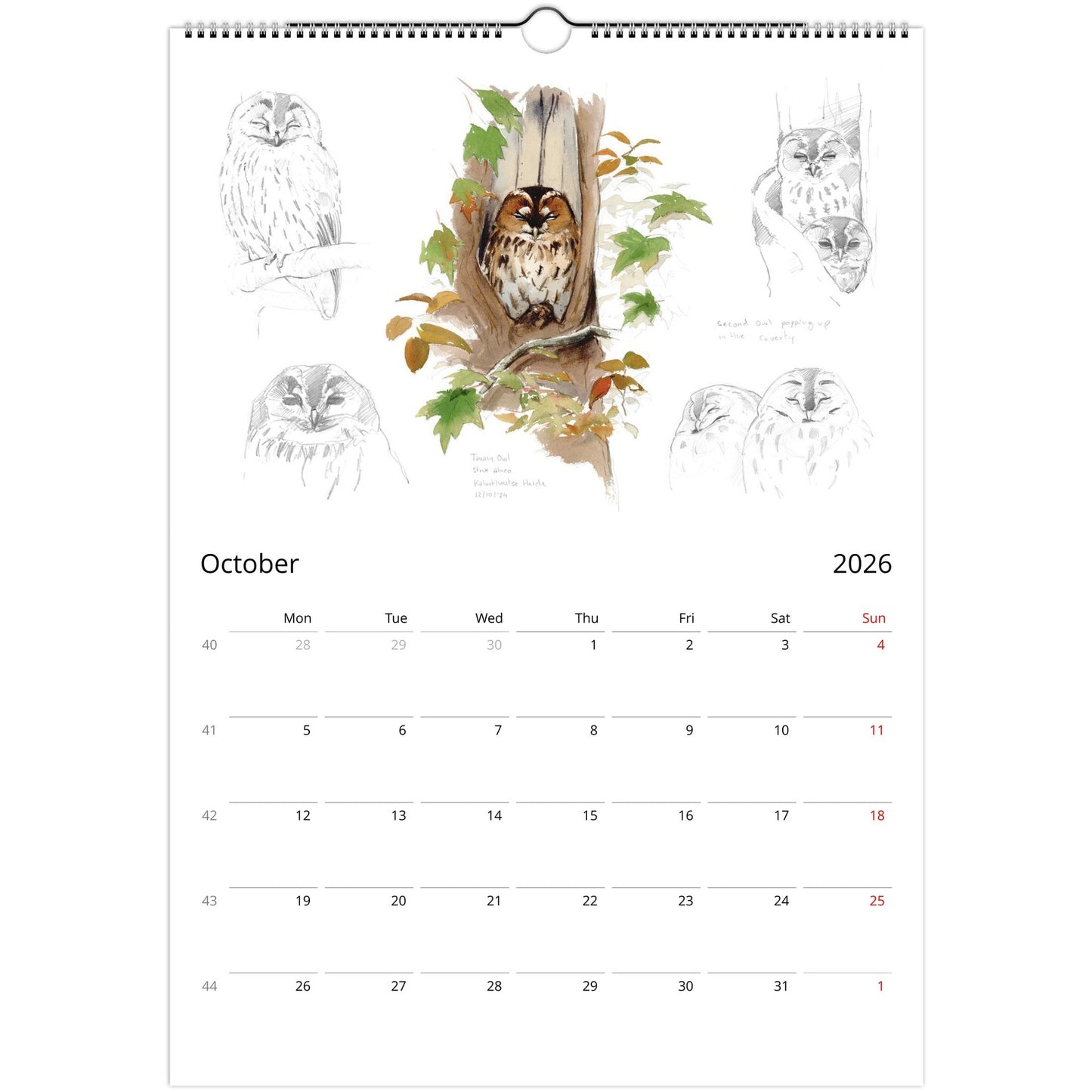 e1603dd9-be1e-4e47-ac2f-4b1b7597d5d5