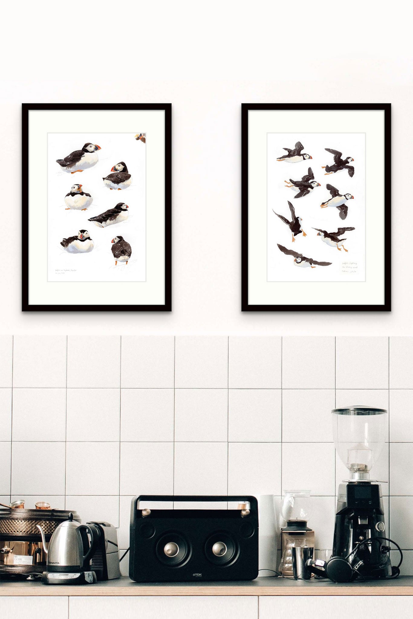 Atlantic puffins in flight