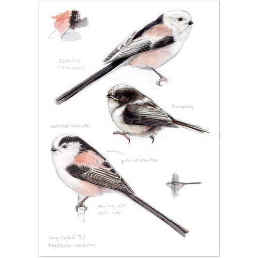 07045175-6362-48ef-8b35-34a083ba0dd6