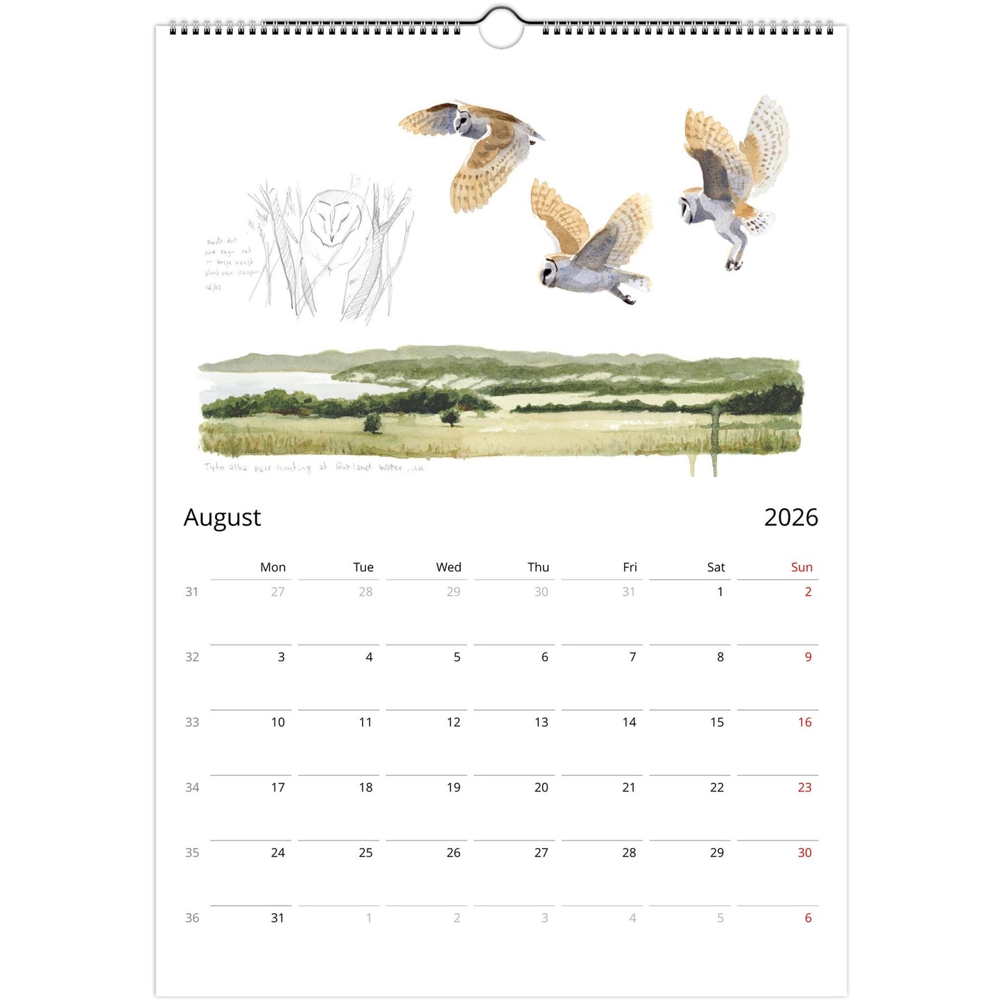 20859a3d-3bb5-4156-b317-0c3b1048b12f