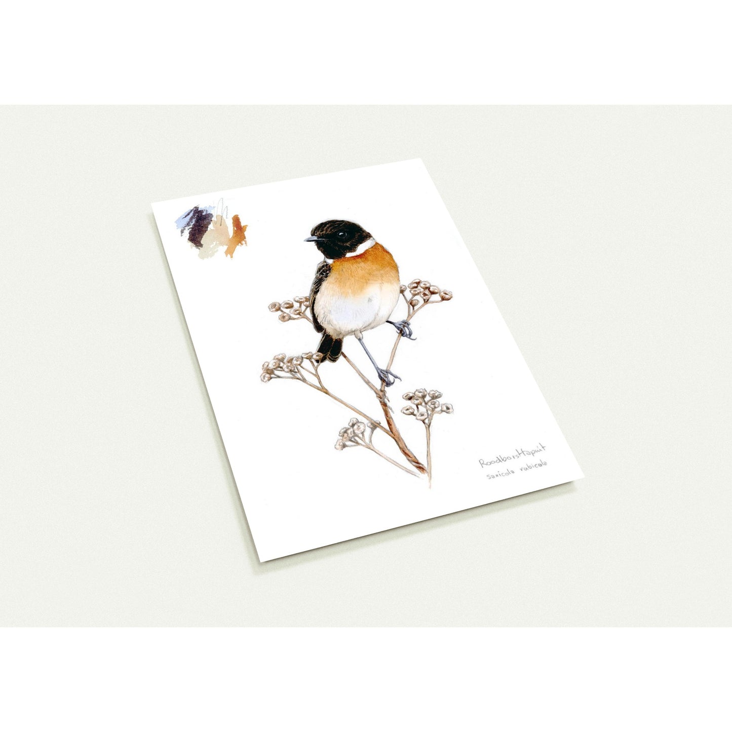 210234be-8ce1-4a06-86c8-ff16679b27c4