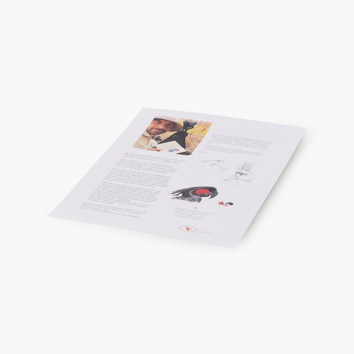 Palm Cockatoo