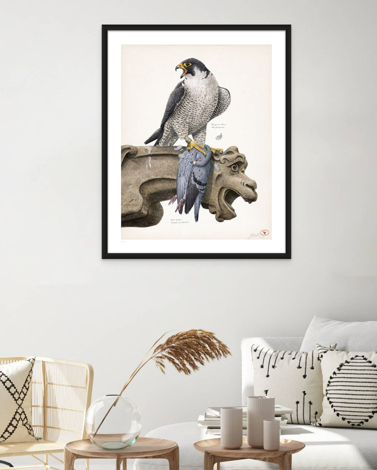 Peregine Falcon