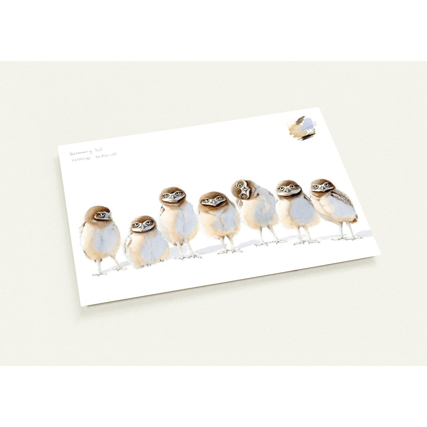 57e39116-bc6d-49f8-a48e-dfa21d89995e