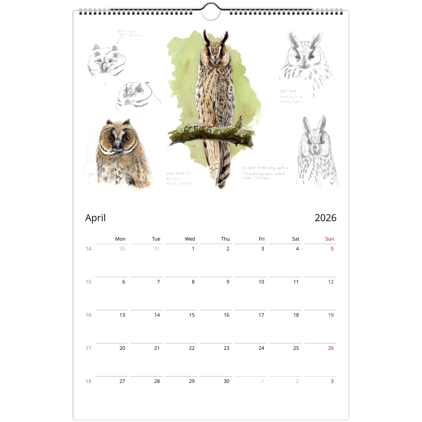 97a6648c-41ba-45da-83d7-a558652bf72a