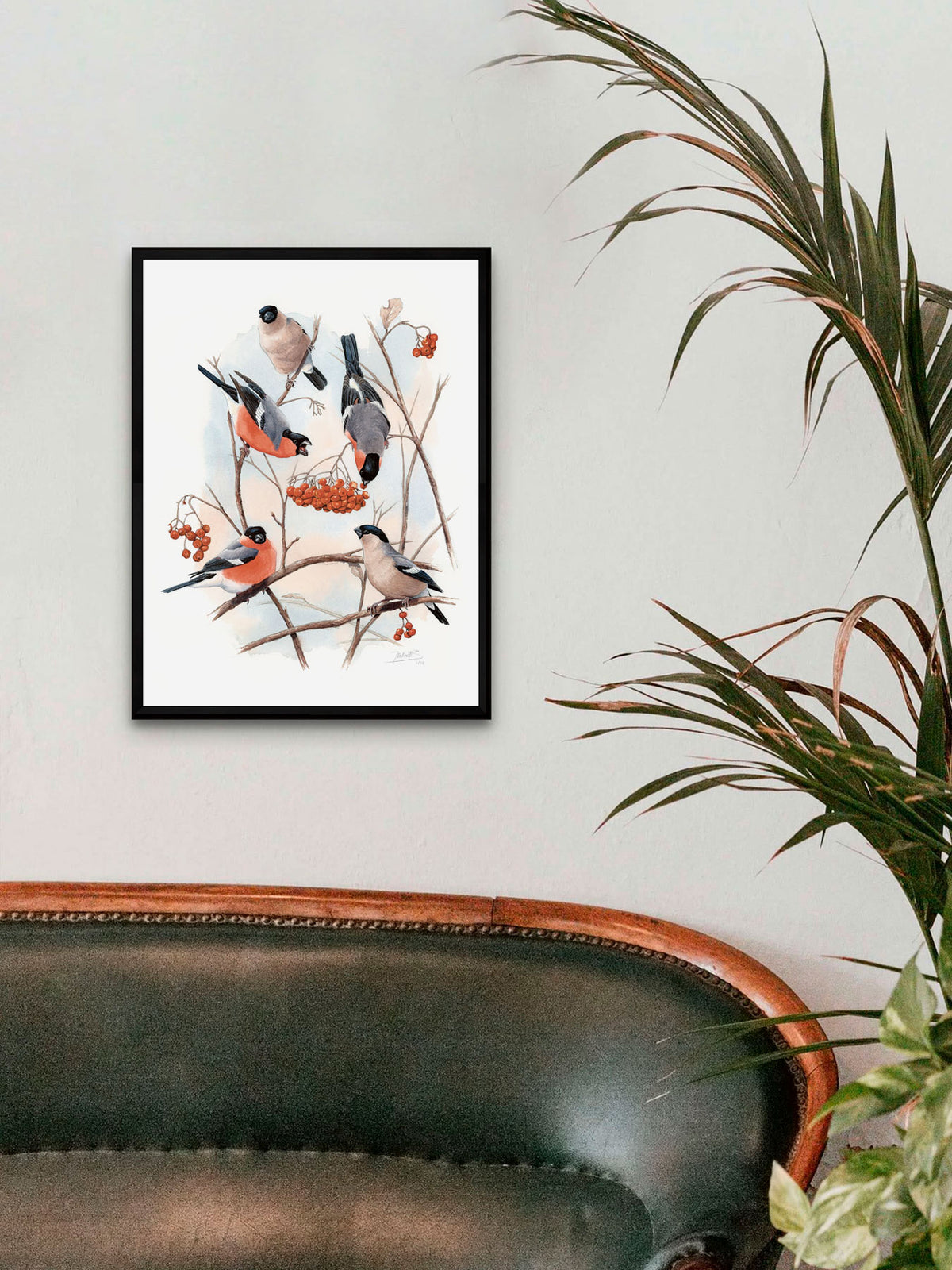Eurasian Bullfinch