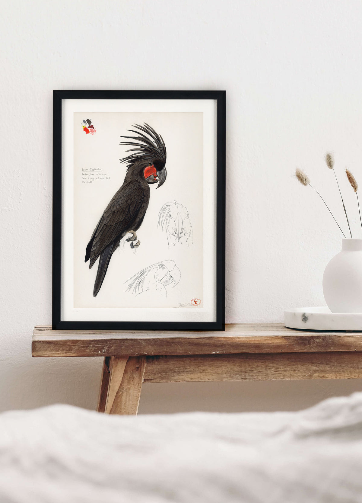Palm Cockatoo
