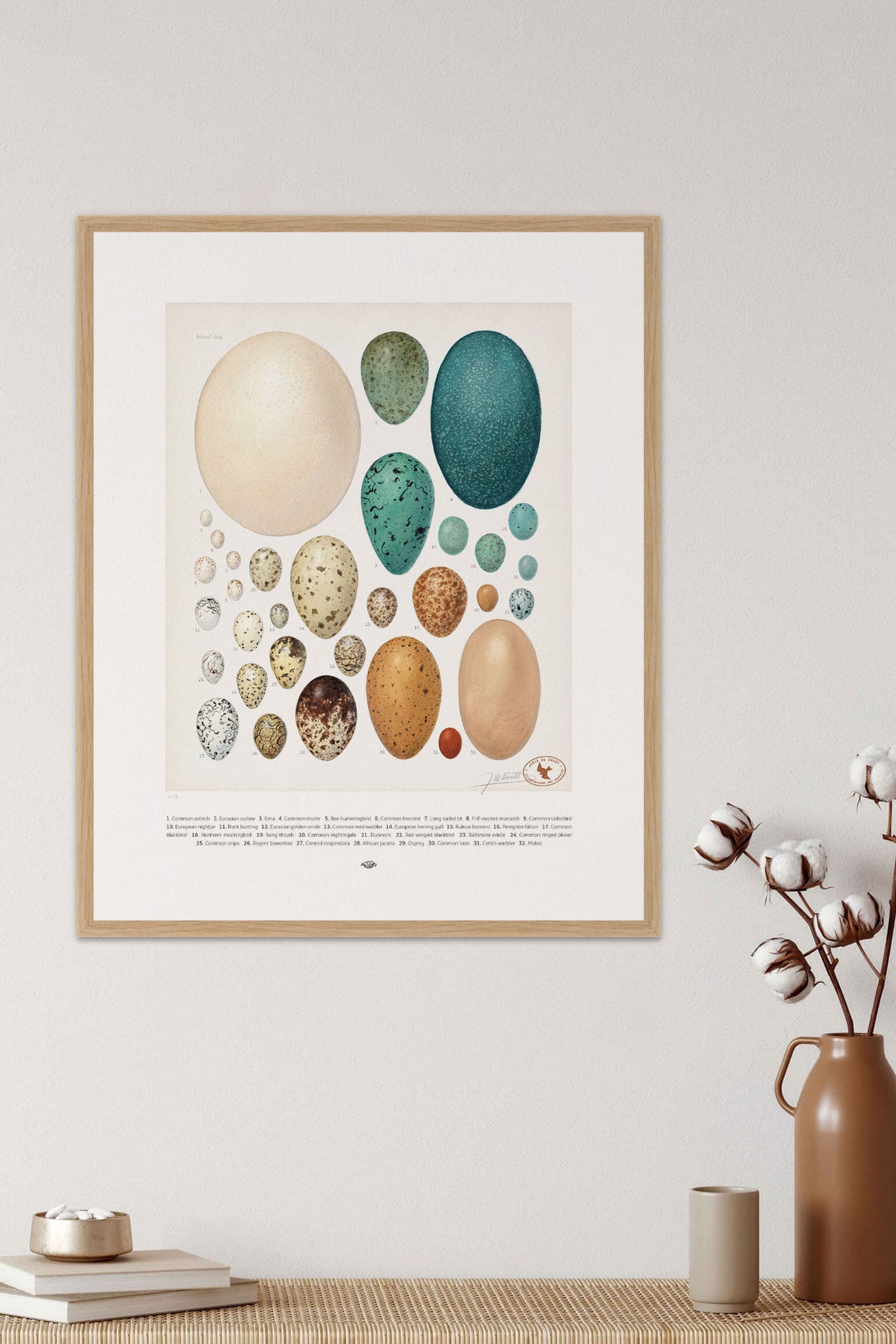 Gallery of Eggs