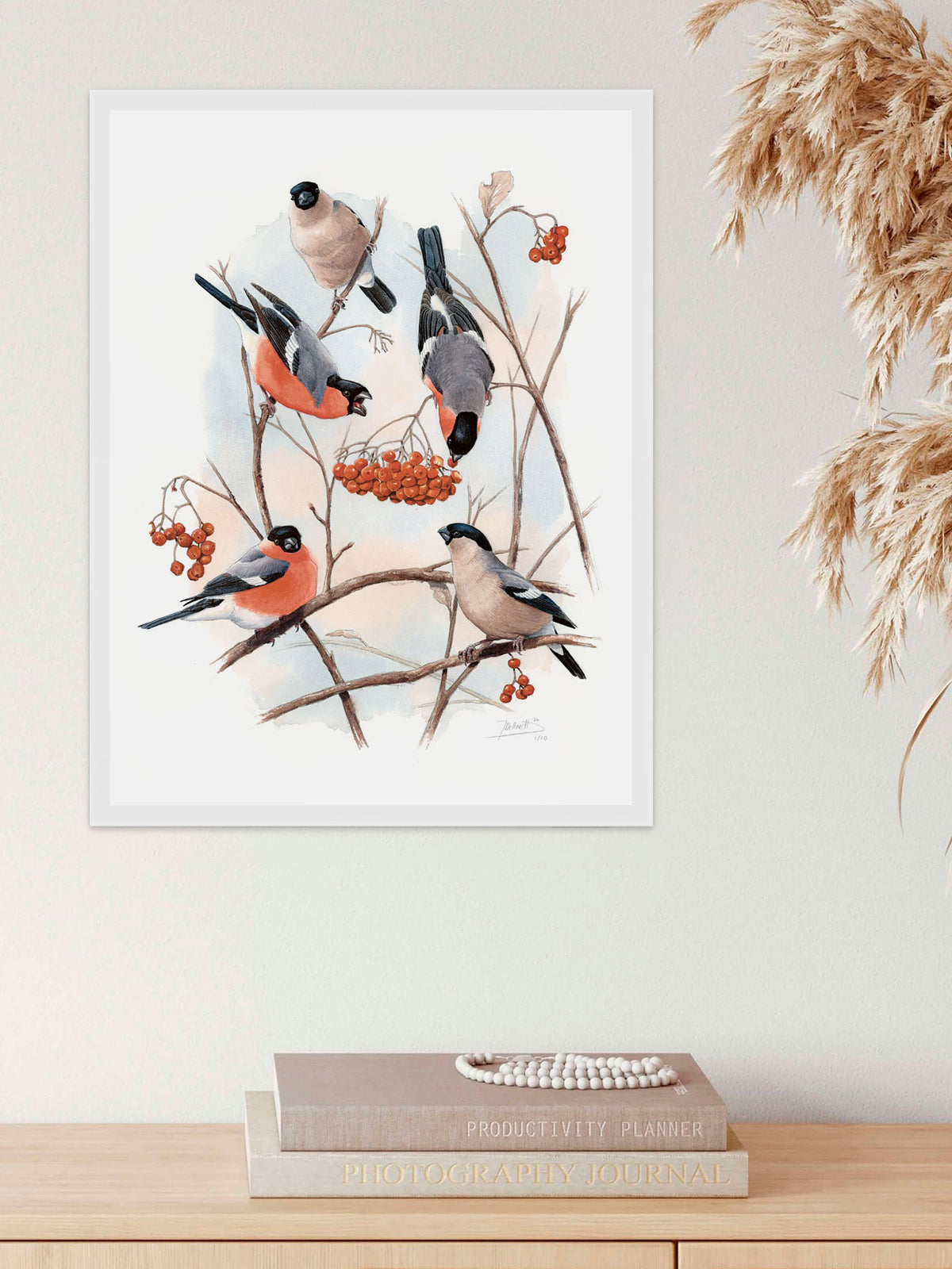 Eurasian Bullfinch