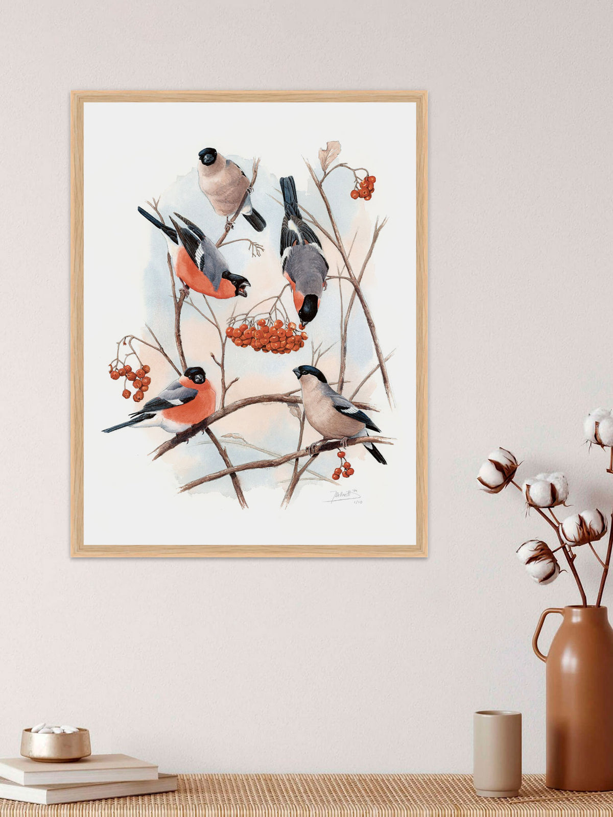 Eurasian Bullfinch