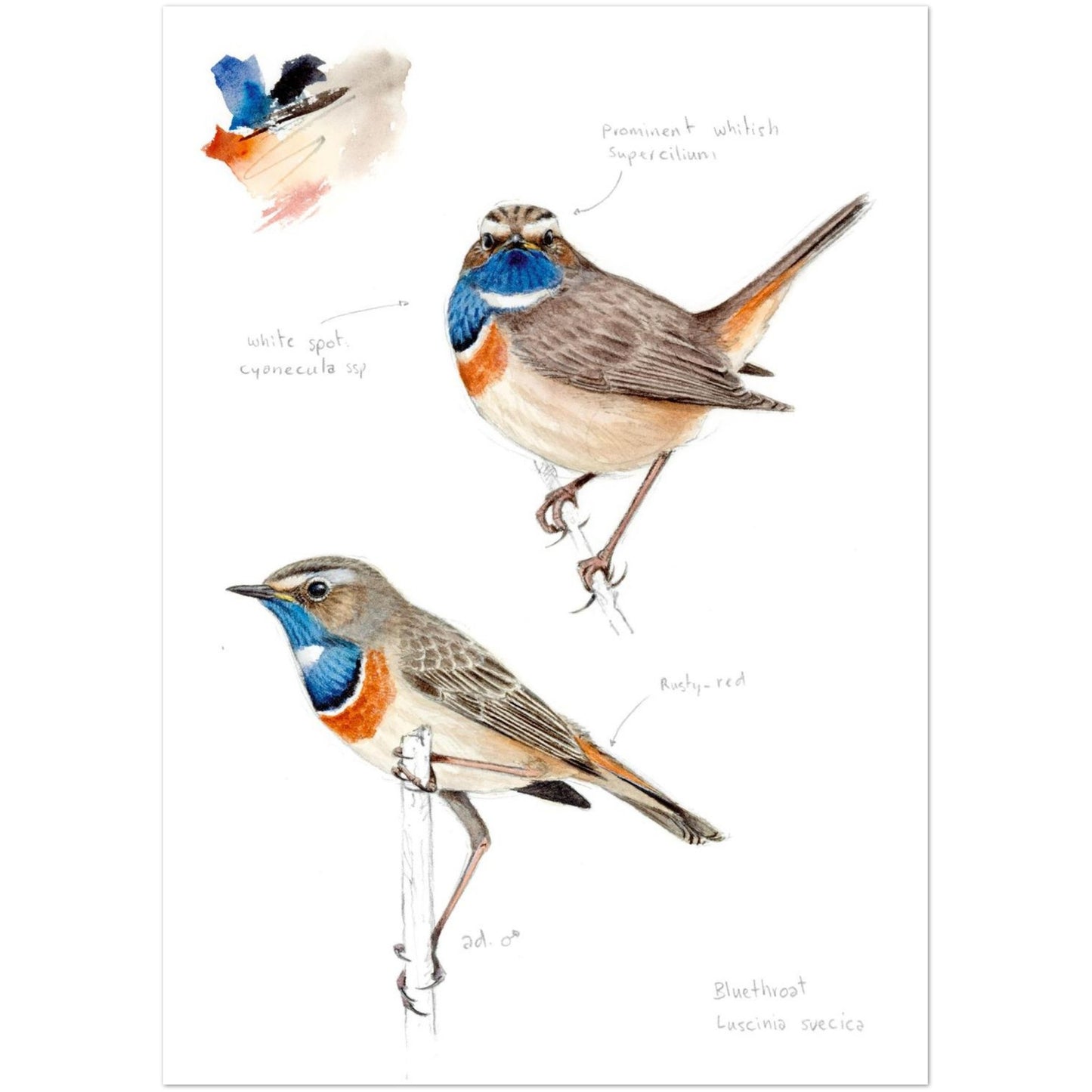 b149250b-7dd4-4472-b8d3-74a90f2efcbf