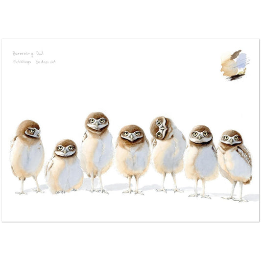 b2224fb0-edf1-4a02-b2fc-c5878f3575a5