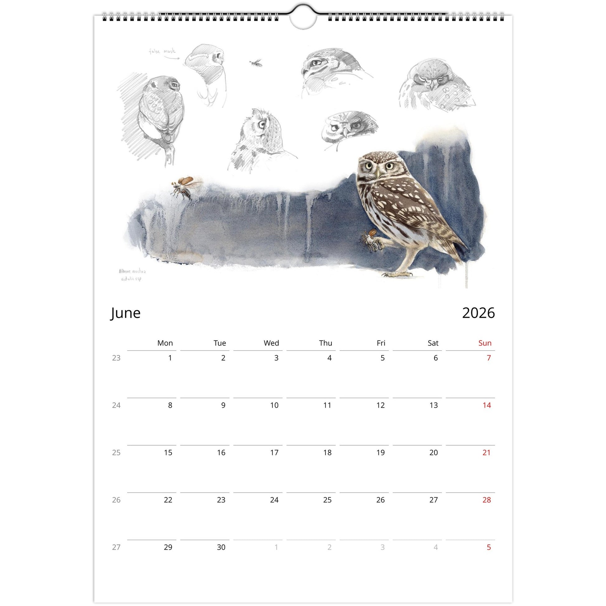 e0a68502-9b4c-41c8-9a03-851d1db04aba