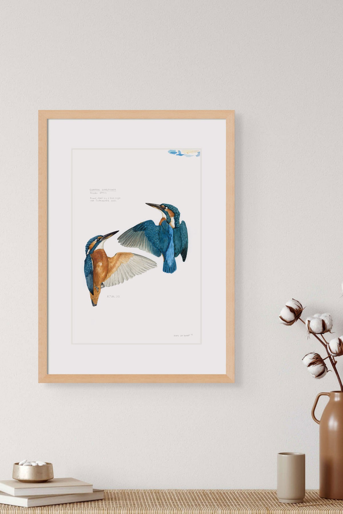 Common kingfisher